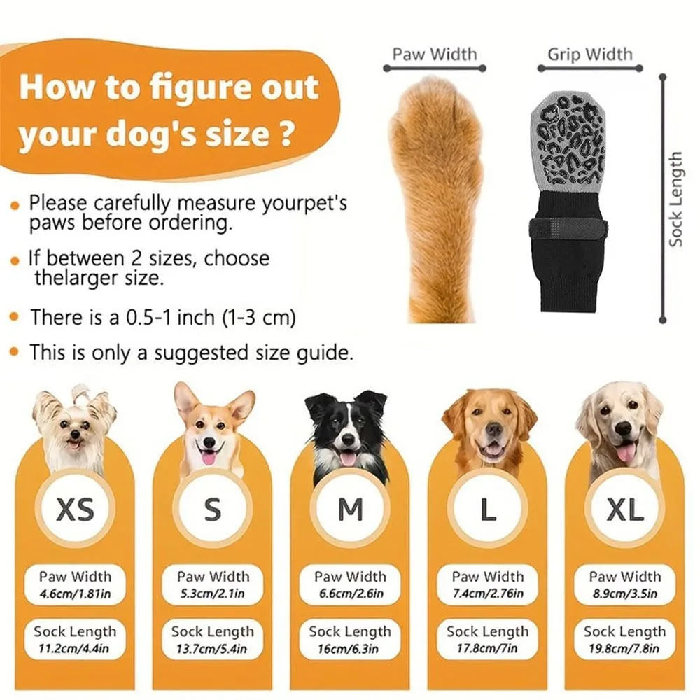 Chausettes pour chien