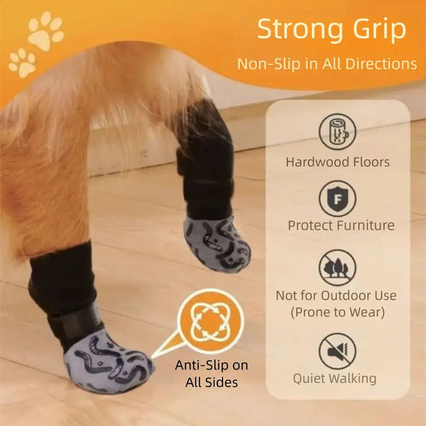Chausettes pour chien