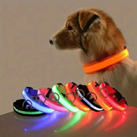Collier lumineux pour chien