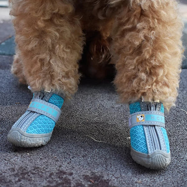 Bottes pour chien