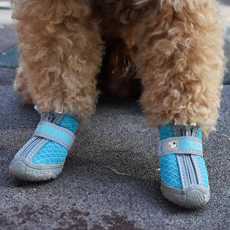 Bottes pour chien