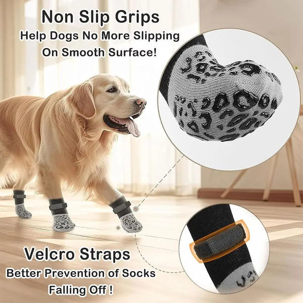 Chausettes pour chien