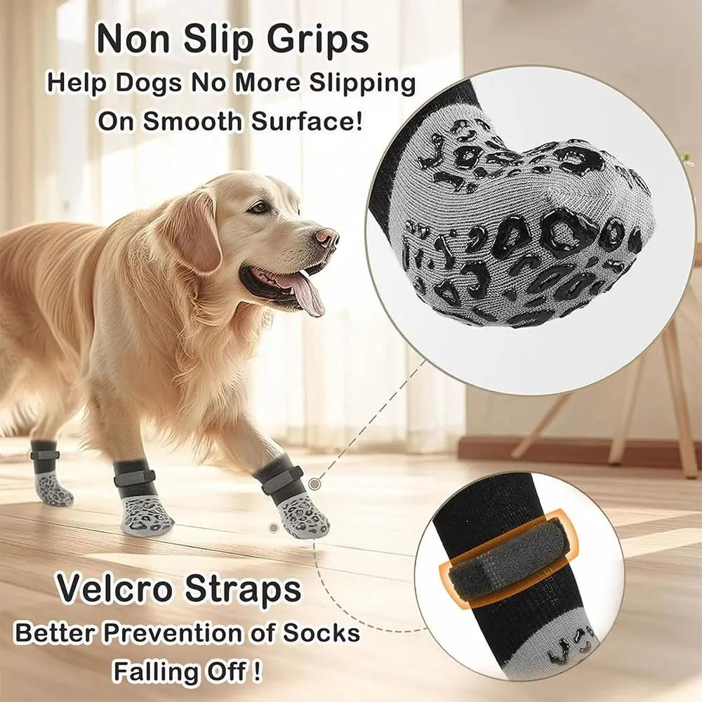 Chausettes pour chien