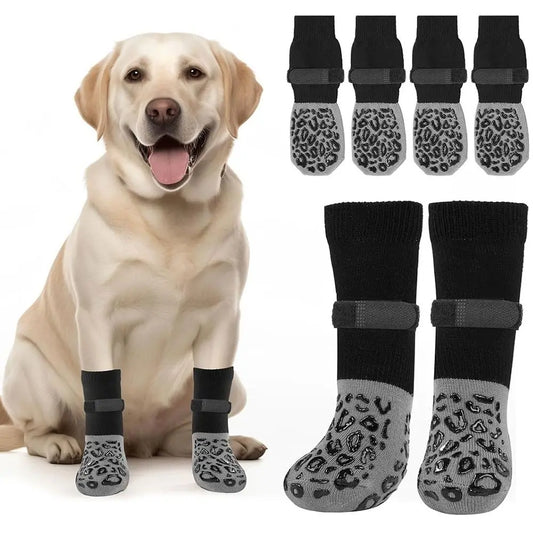 Chausettes pour chien