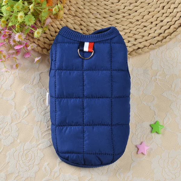 Manteau chien