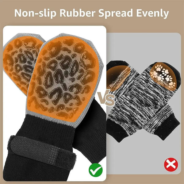 Chausettes pour chien