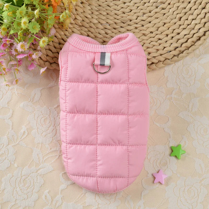 Manteau chien