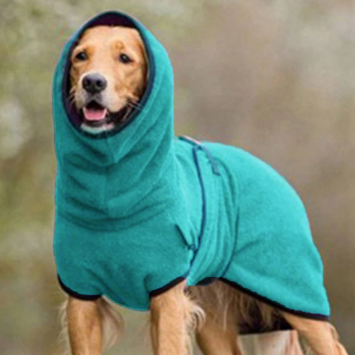 Manteau á capuche Chien