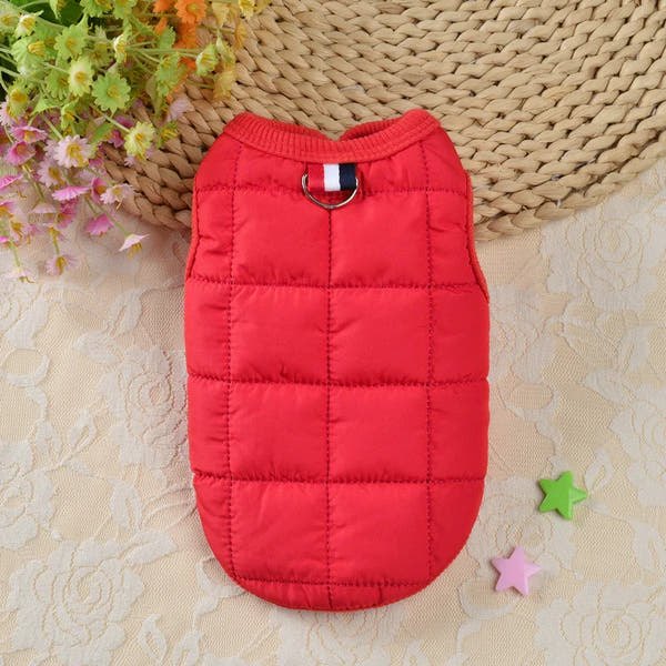 Manteau chien
