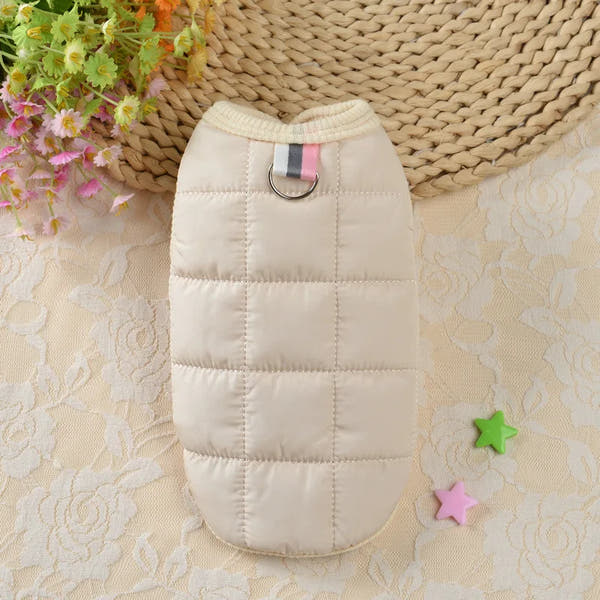 Manteau chien