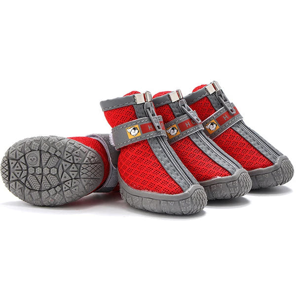 Bottes pour chien