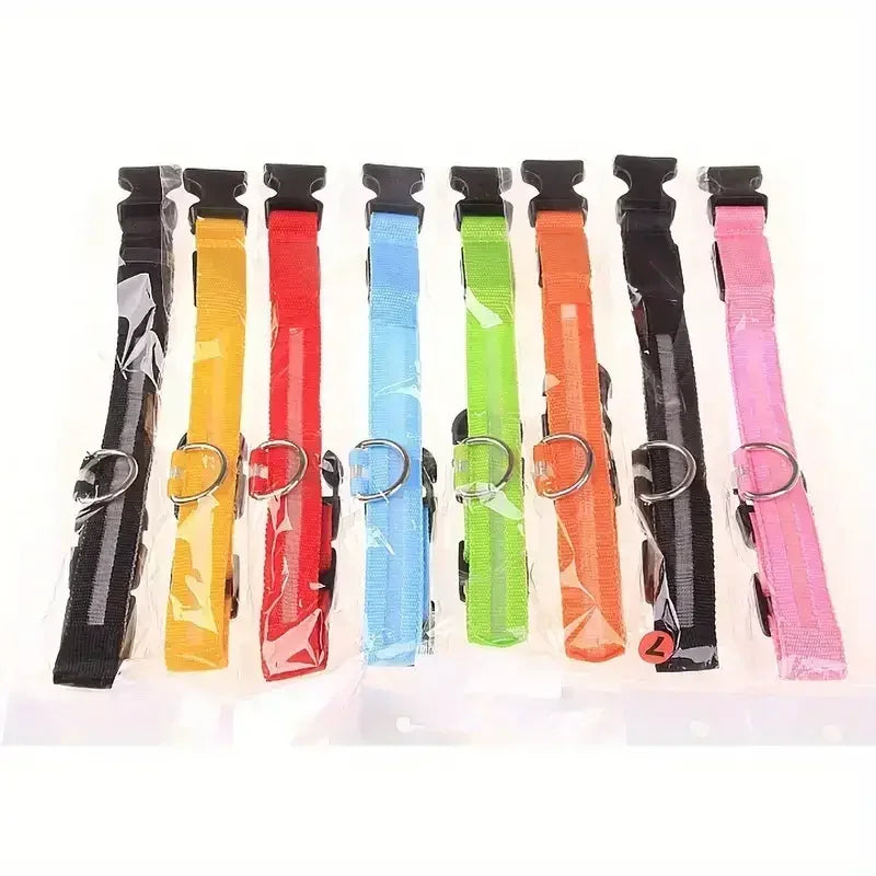 Collier lumineux pour chien