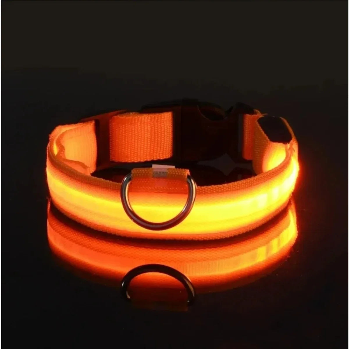 Collier lumineux pour chien