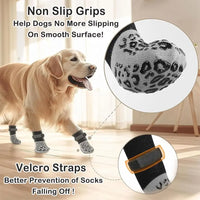 Chausettes pour chien