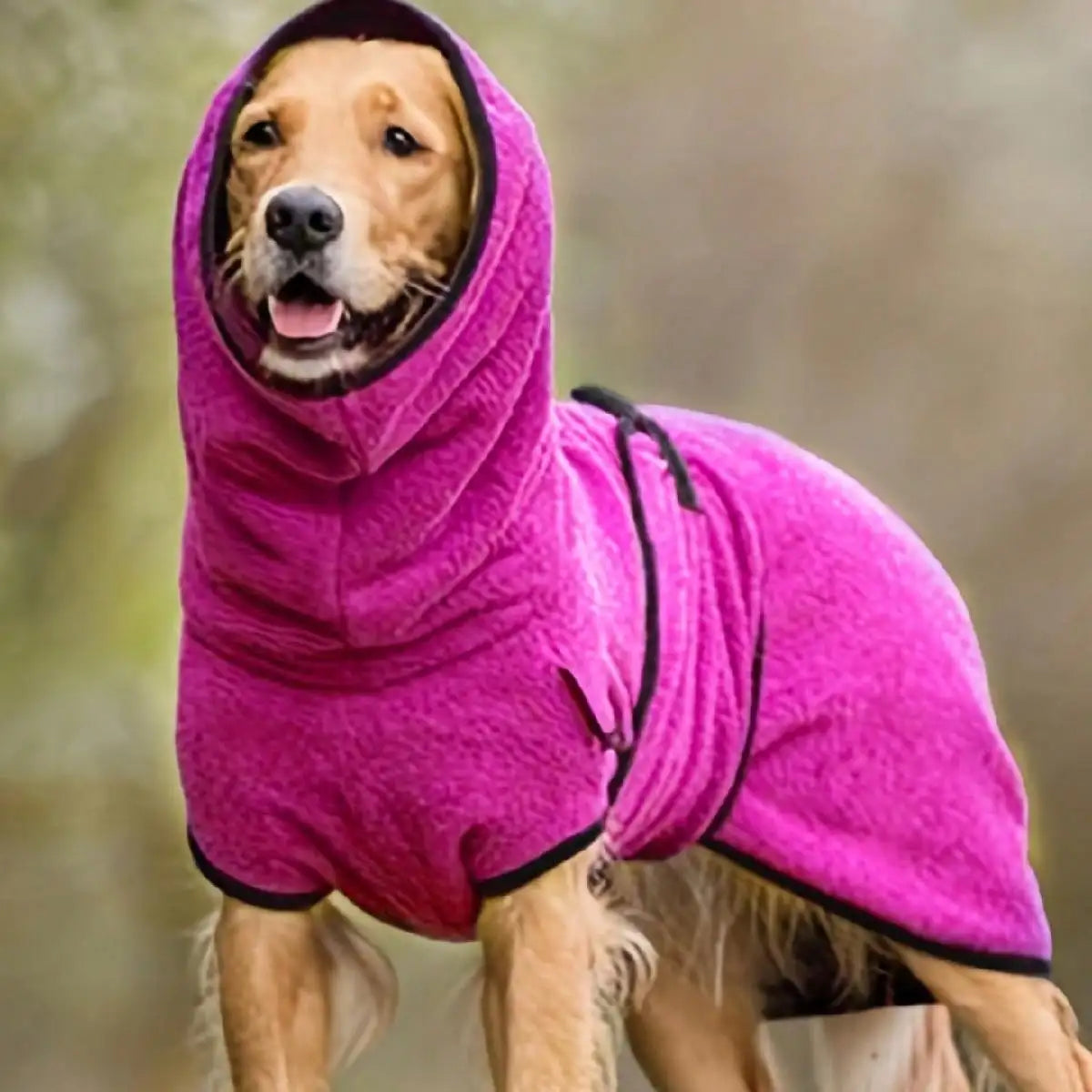 Manteau á capuche Chien