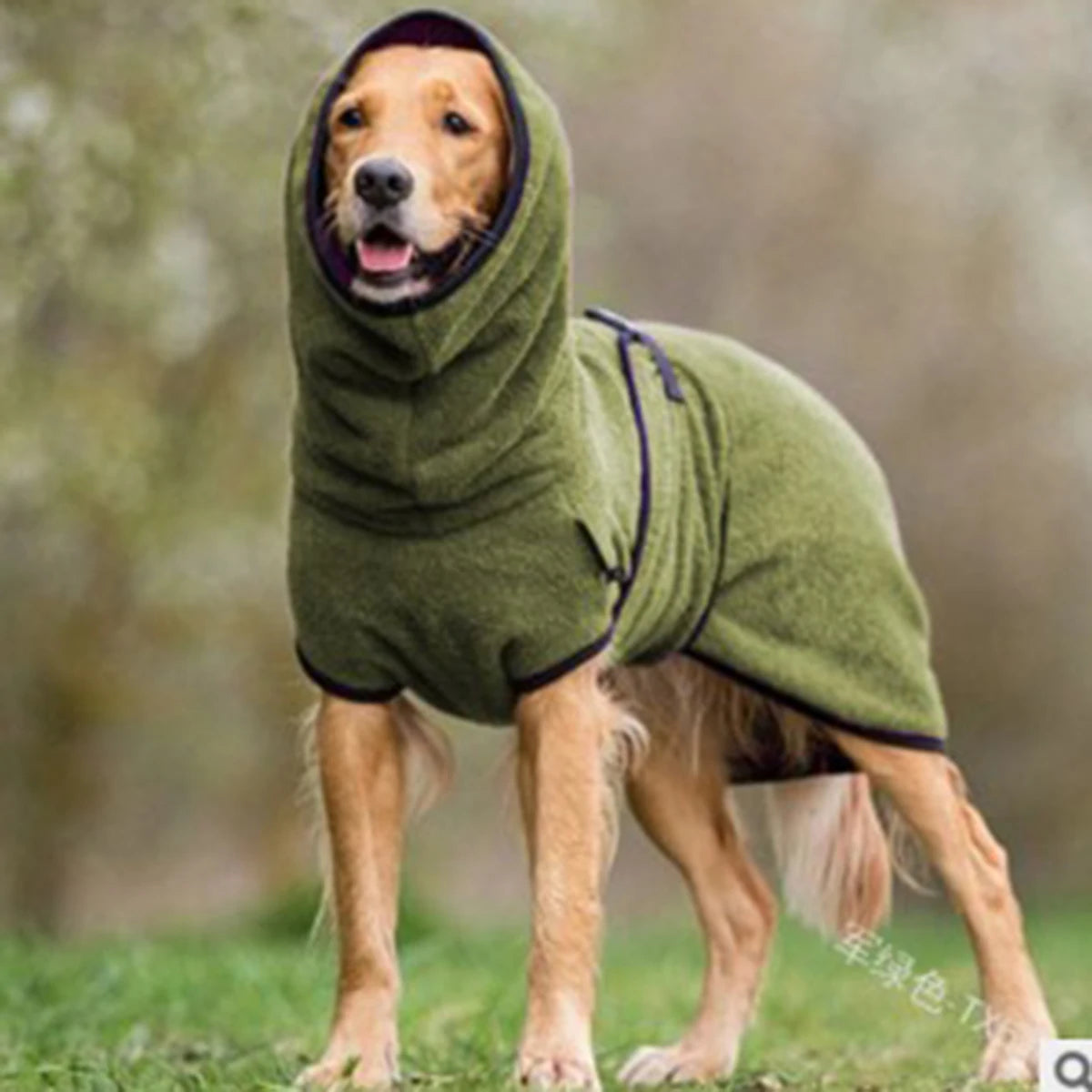 Manteau á capuche Chien