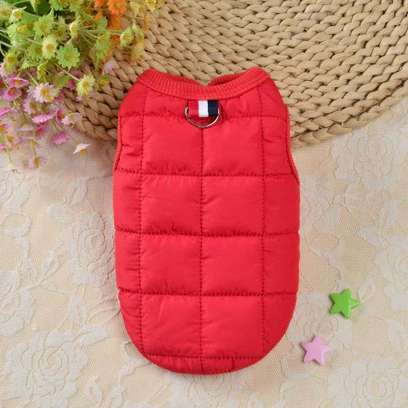 Manteau chien