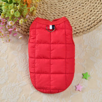 Manteau chien