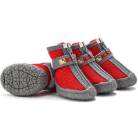 Bottes pour chien