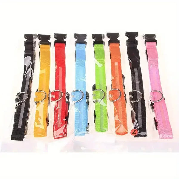 Collier lumineux pour chien